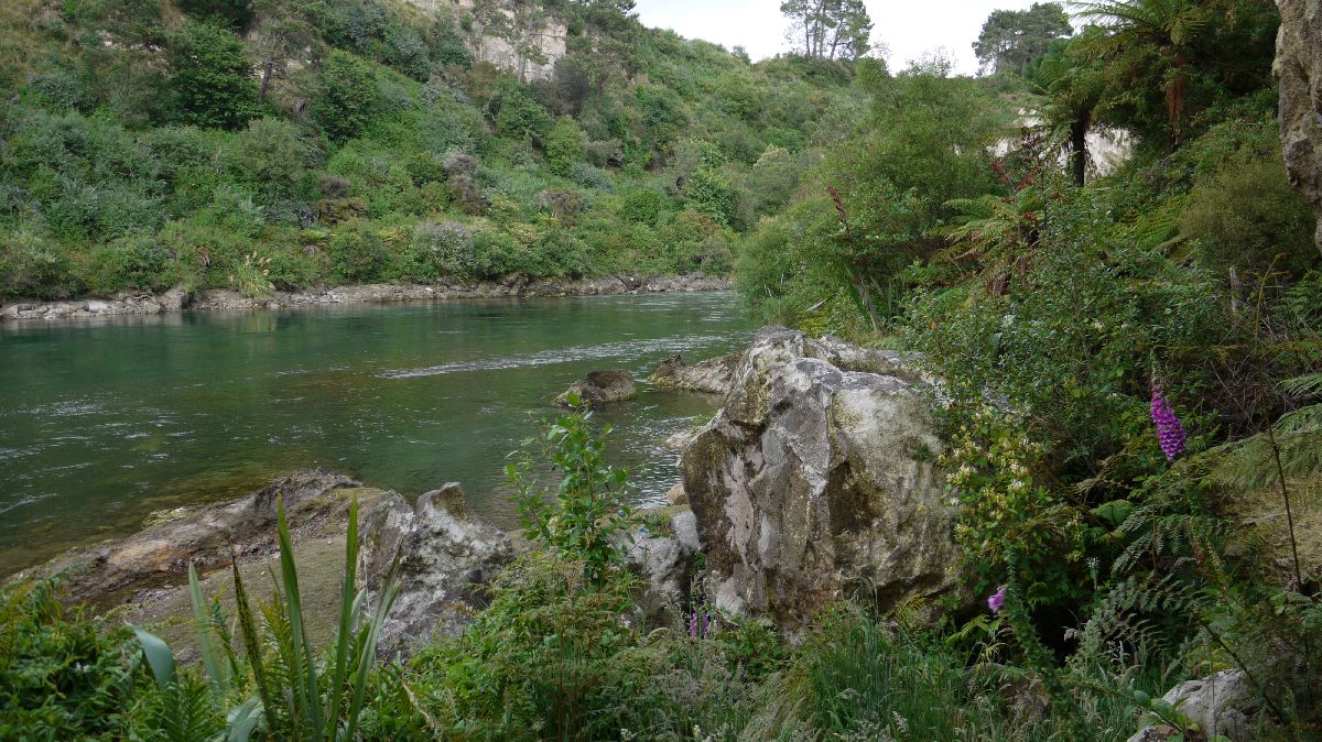 Waikato River