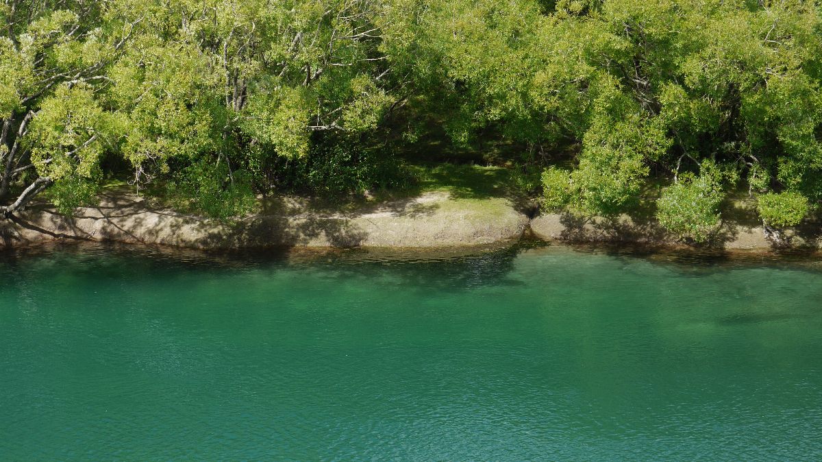 Waikato River