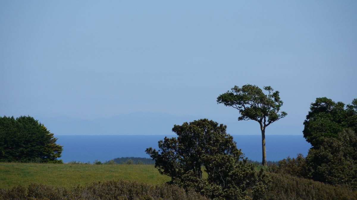 zum Taranaki