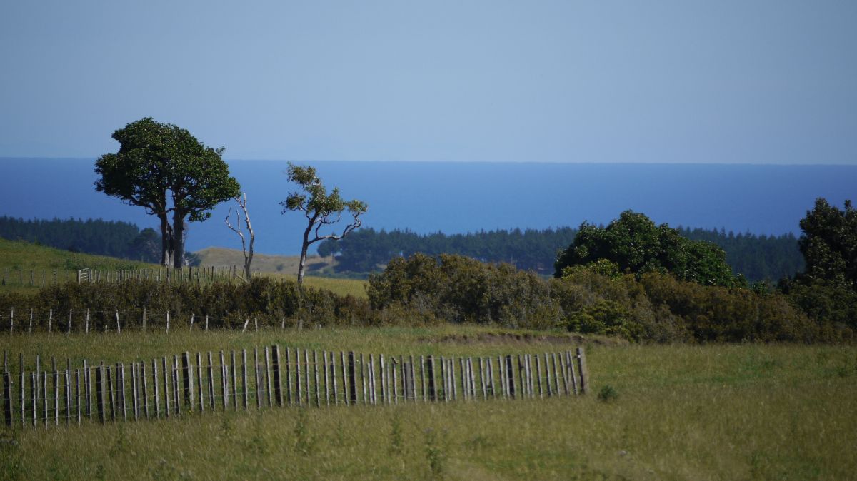 zum Taranaki