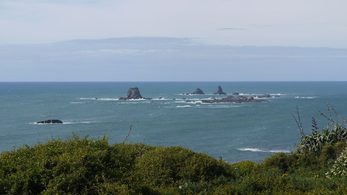 Zwischen Nelson, Westport und Karamea 