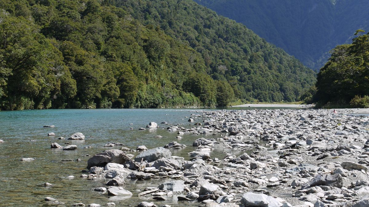 Mt. Aspiring NP