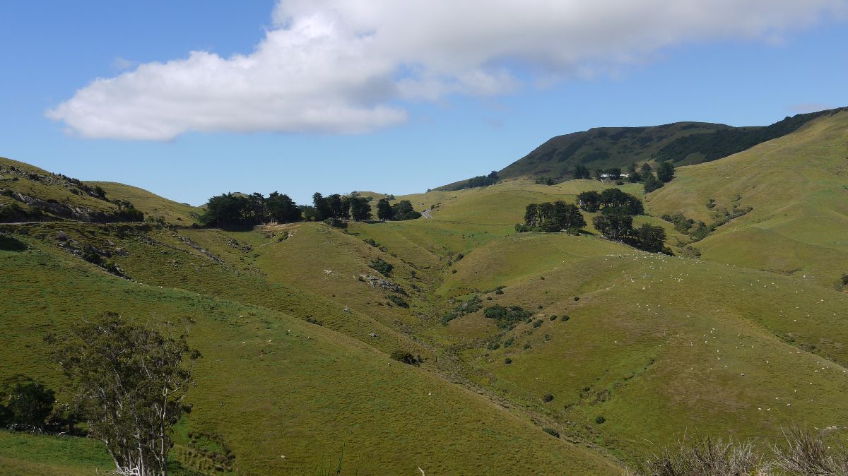 Otago Peninsula