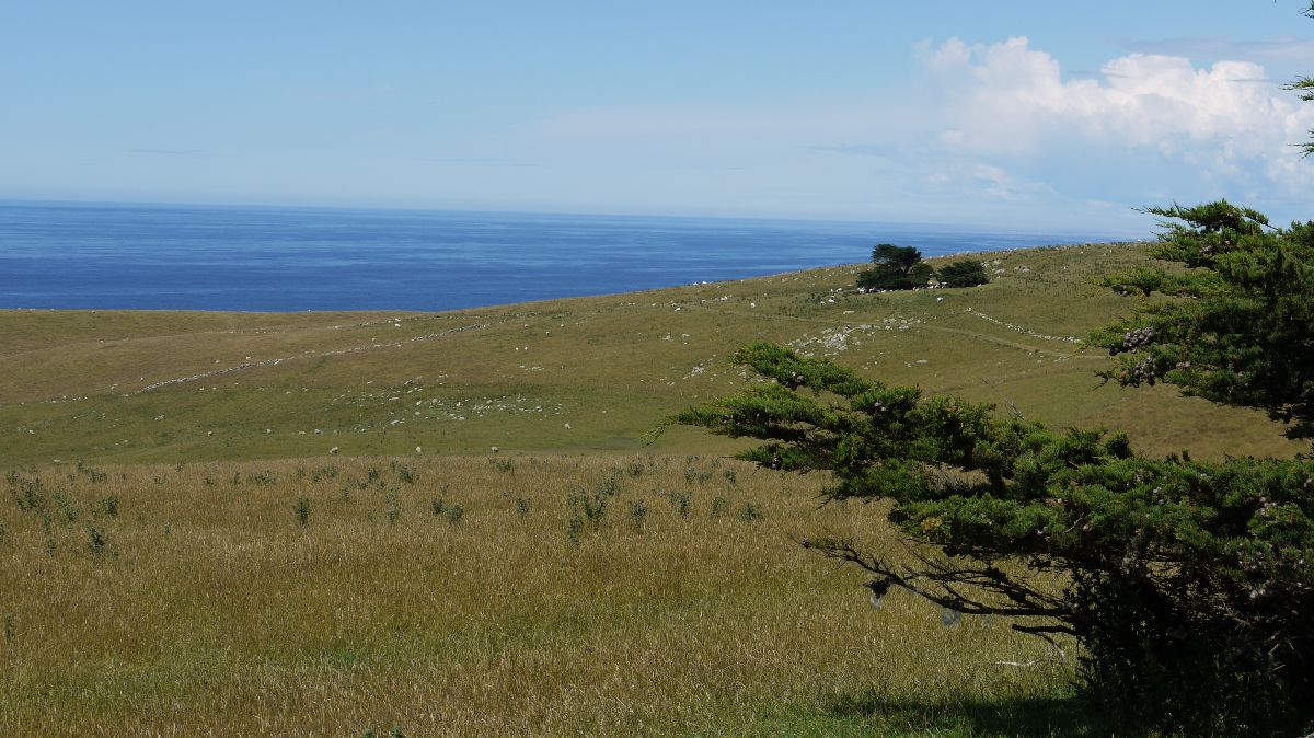 Otago Peninsula