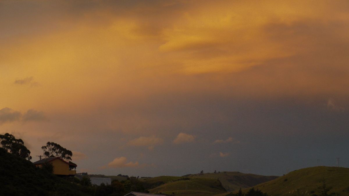 Otago Peninsula