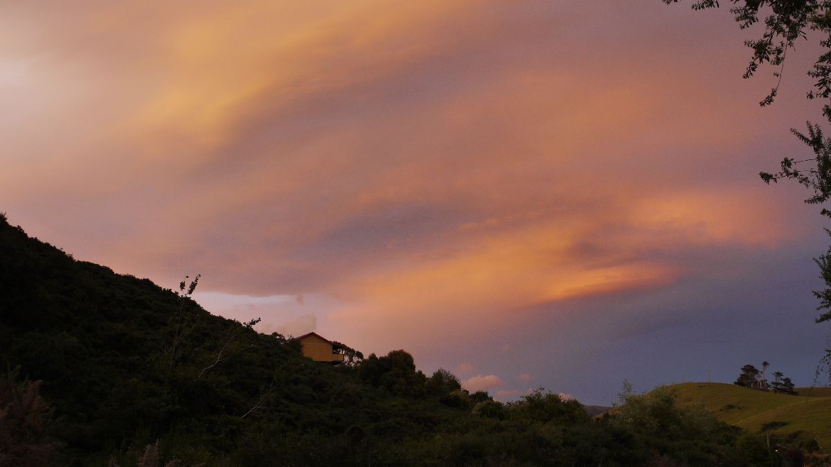 Otago Peninsula