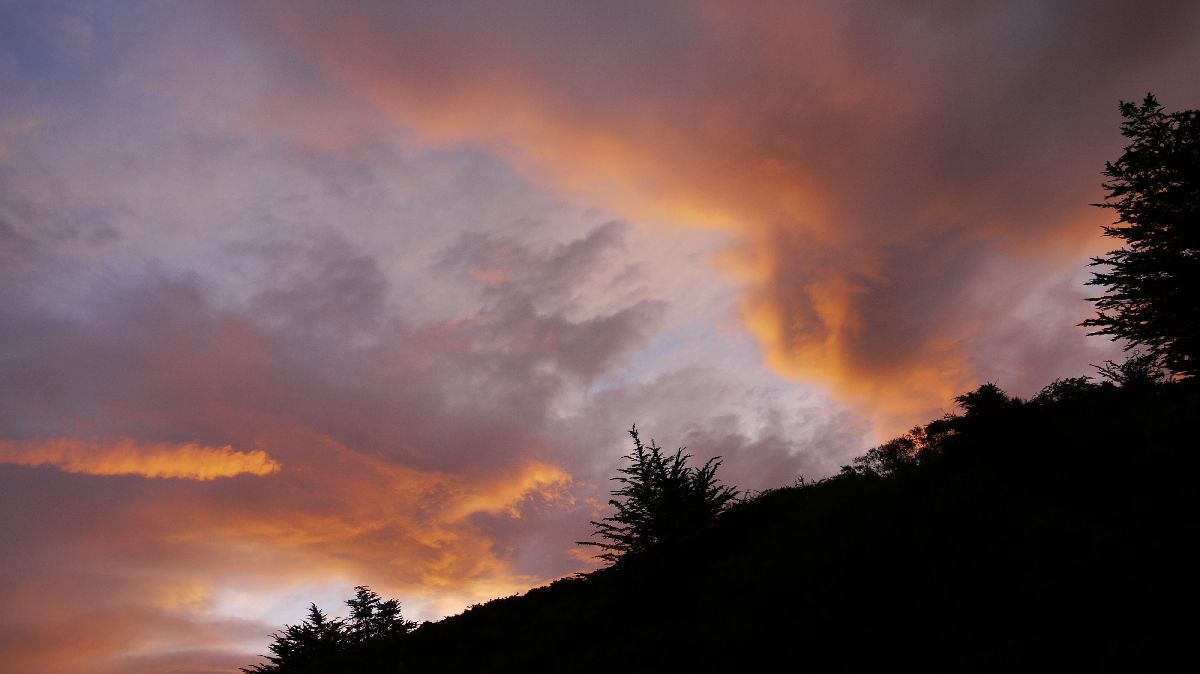 Otago Peninsula